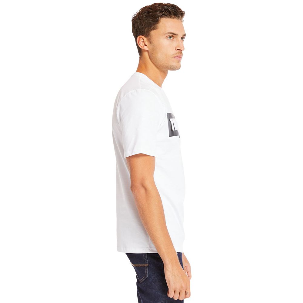 Timberland Mens T-Shirts Mink Brook 3D Embossed - White - India RP1569403